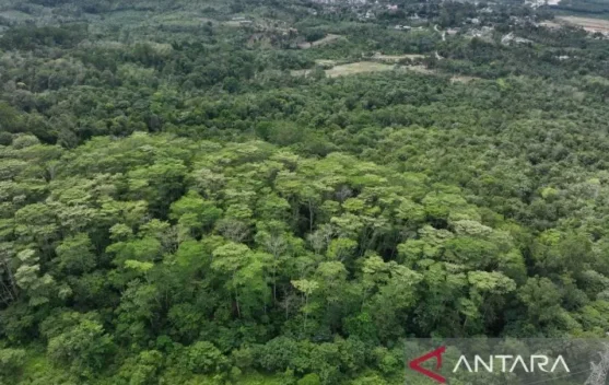 Martabe Gold Mine Sets Benchmark in Proactive Environmental Restoration