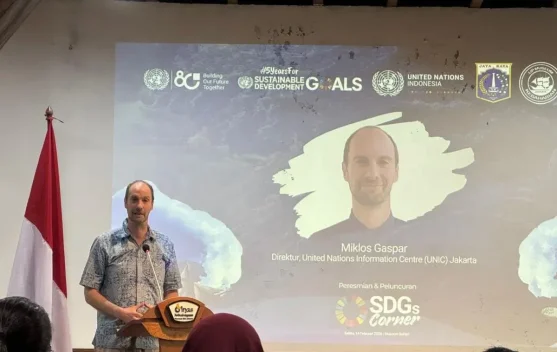 UN Urges Local Renewable Energy to Strengthen Energy Security - RRI.co.id