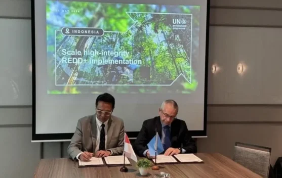 Indonesia, UNEP Strengthen Forest Climate Partnership - RRI.co.id