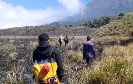 Rinjani Savanna Wildfire Extinguished, BNPB Urges Stricter Patrols