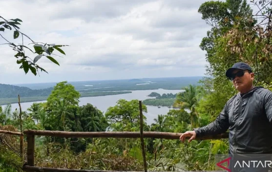 Kubu Raya Boosts Ecotourism with New Bukit Lalang Nature Attraction ...