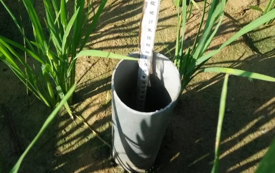 BRIN Showcases Climate-Smart Irrigation Innovation to Conserve Water