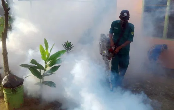 Tanjungpinang City Tackles 518 Malaria Cases by Targeting Mosquito Breeding Site