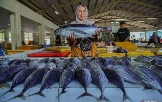Tuna from Lebak Reaches Export Markets in Japan and Europe