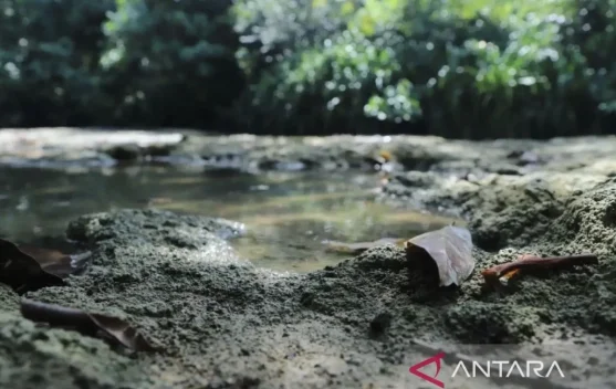 Dumaring Limestone Geosite Becomes National Model for Karst Conservation