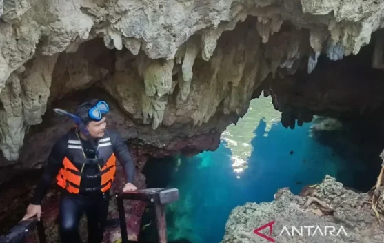 Halo Tabung Cave Draws Global Divers, Boosts Eco-Awareness