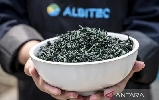 Spirulina Microalgae for Sustainable Aquaculture Feed