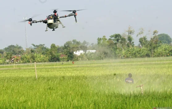 Govt Encourages Youth to Strengthen National Agricultural Sector