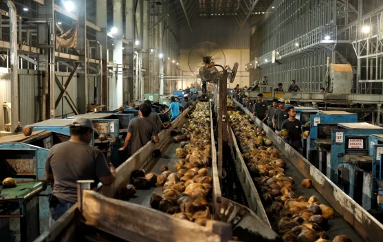 Coconut Downstreaming Key to Economic Transformation: Govt