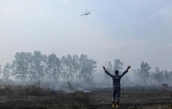 South Sumatra Emerges as Key Focus Despite Sharp Drop in National Hotspots