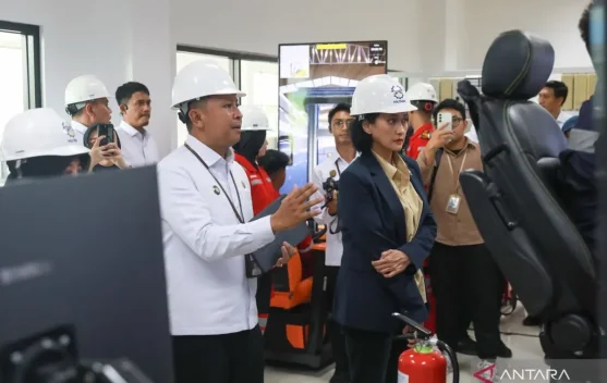 Indonesia Expands Focus to Cruise and Logistics Jobs for Migrant ...