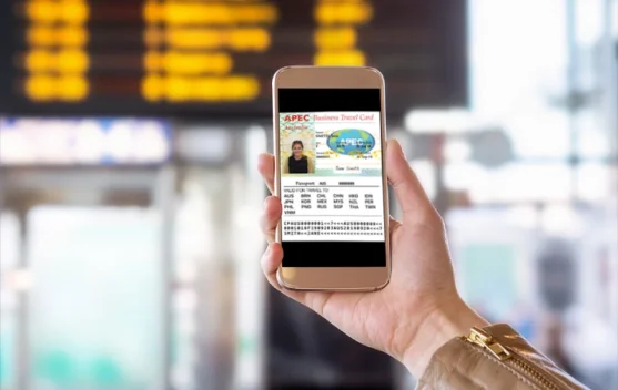 Indonesia Digitizes APEC Business Travel Card Applications for Easier ...