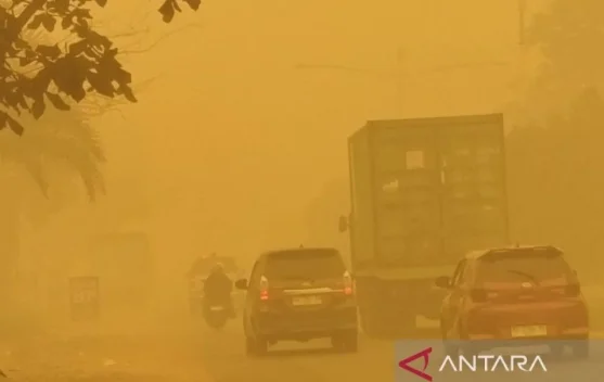 Indonesia's House Urges Stronger Forest Fire Response Ahead of 2026 El ...