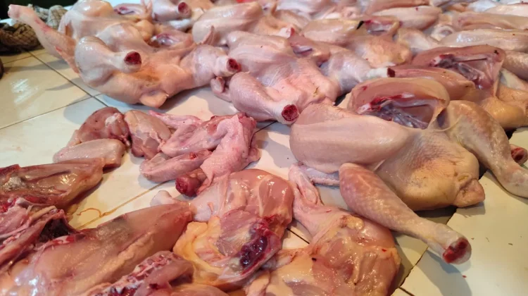 Harga Ayam Potong di Sanggau, Warga: Alhamdulillah