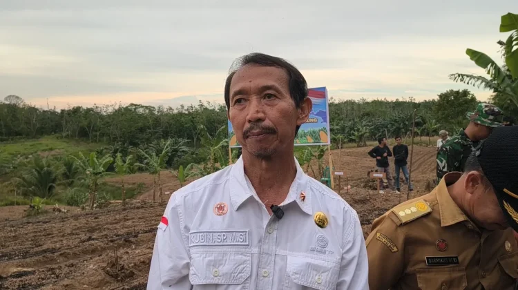 Pemkab Sanggau Instruksikan Penyuluh Pertanian Perkuat Penanaman Jagung