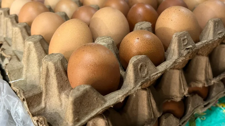 Harga Telur Ayam Ras di Sanggau Naik