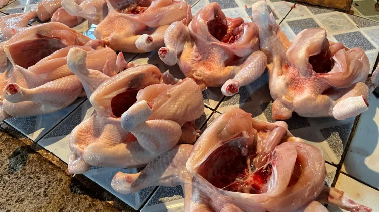 Disbunnak Sanggau: Permintaan Tinggi Picu Kenaikan Harga Ayam