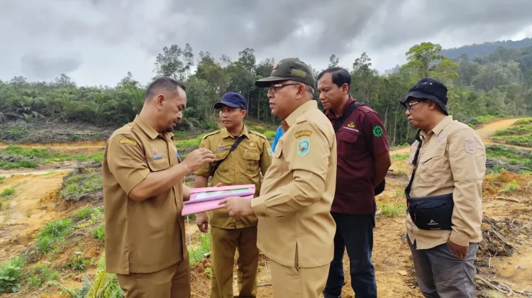 Sekda Sanggau Pantau Penanaman Kembali Pohon PT CUT