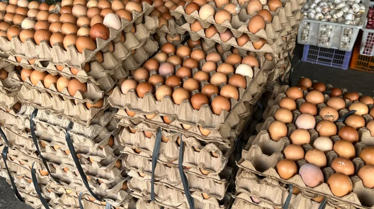 Pasokan Terbatas, Harga Telur di Sanggau Naik