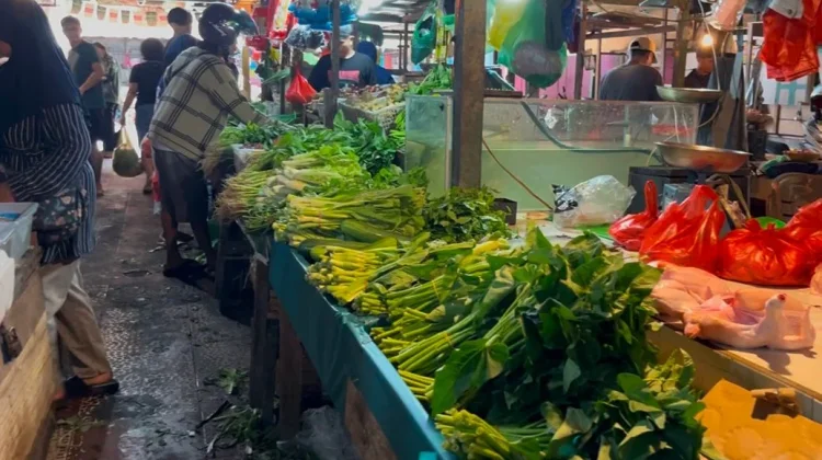 Harga Sayuran Turun, Pedagang Sebut Pasokan Aman