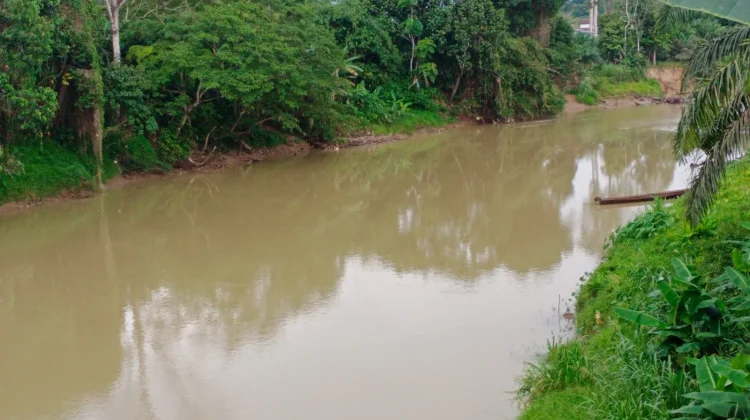 Warga Keluhkan Air Sungai Sekayam Keruh  Musim Kemarau
