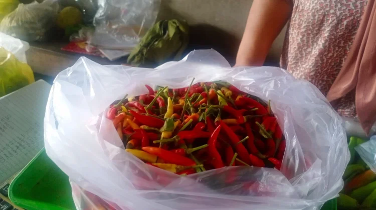 Harga Cabai Tembus 130 Ribu di Entikong