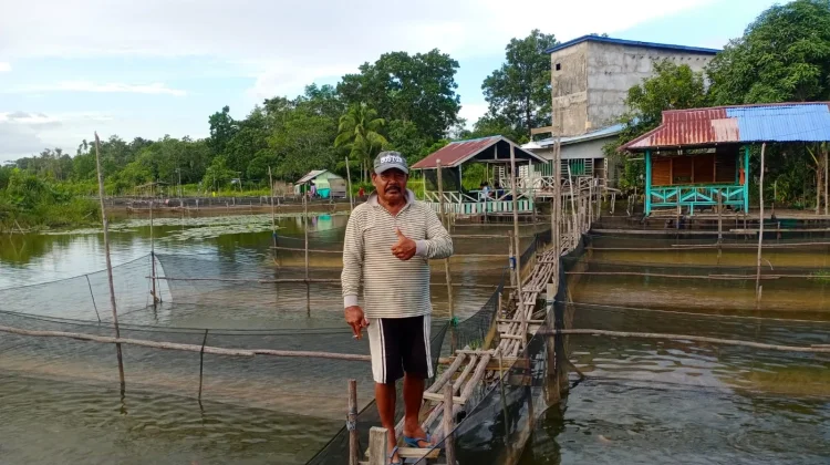 Budidaya Keramba Pasok Kebutuhan Ikan di Sekayam