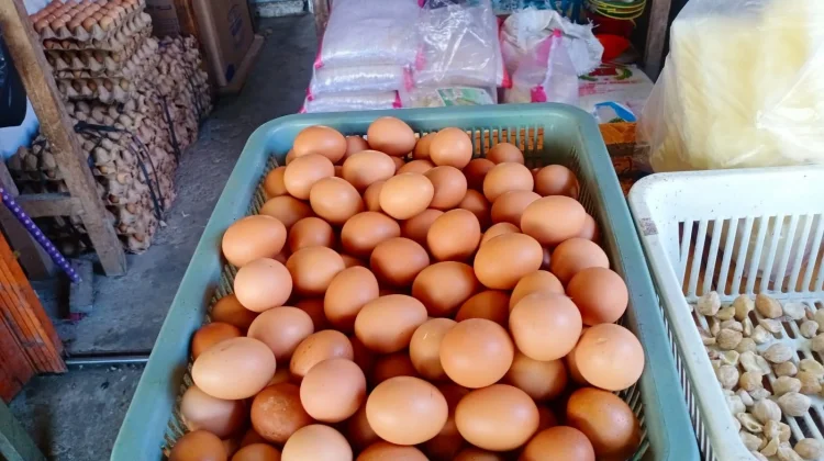 Harga Telur Ayam di Pasar Entikong Tetap Stabil