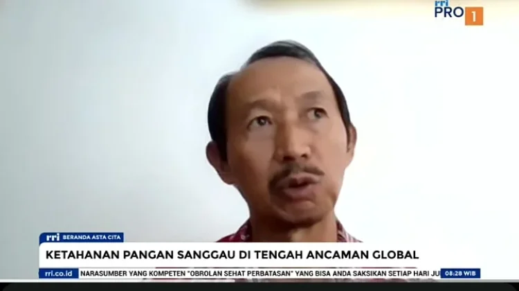 Produksi Padi Sanggau Stabil Hadapi Dampak Eskalasi Global