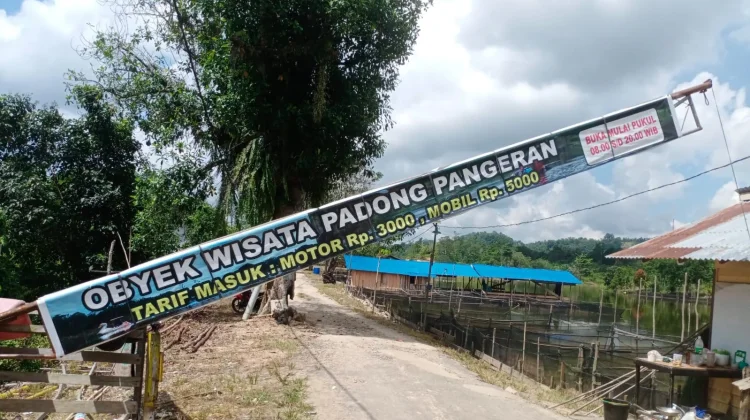 Danau Padong Pangeran, Pilihan Wisata Warga Sekayam