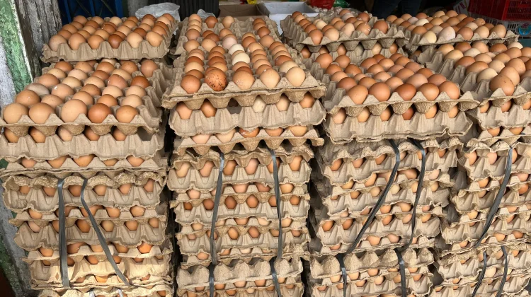 Hore! Harga Telur di Sanggau Turun