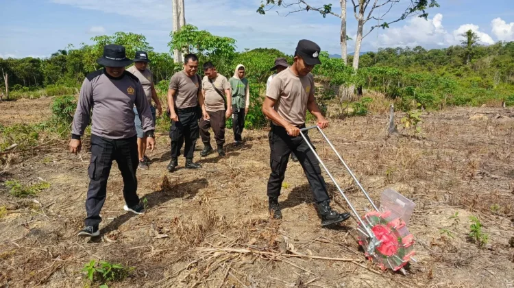Penanaman Jagung Kuartal-II, Polsek Beduai Target Lampaui Produksi