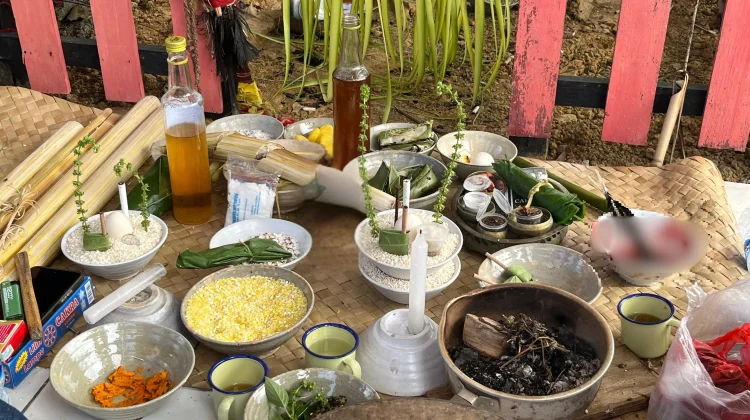 Rayakan Hari Jadi Sanggau, DAD Gelar Ritual Adat