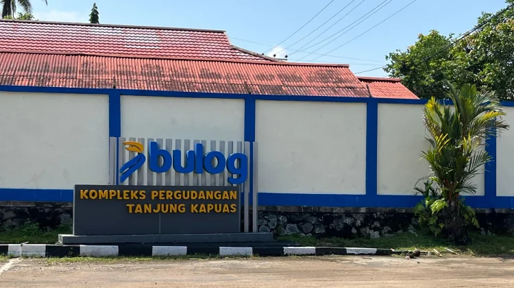 Bulog Sanggau Akui Sulit Serap Gabah Petani