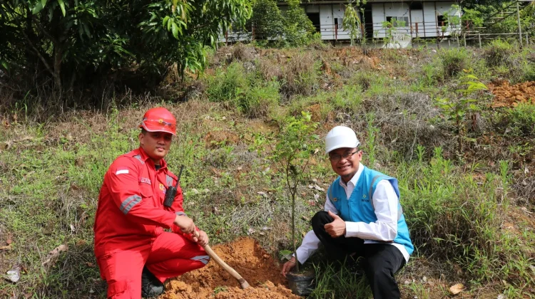 Peringati Hari Bumi, PLN IP-UBP Sanggau Tanam Pohon