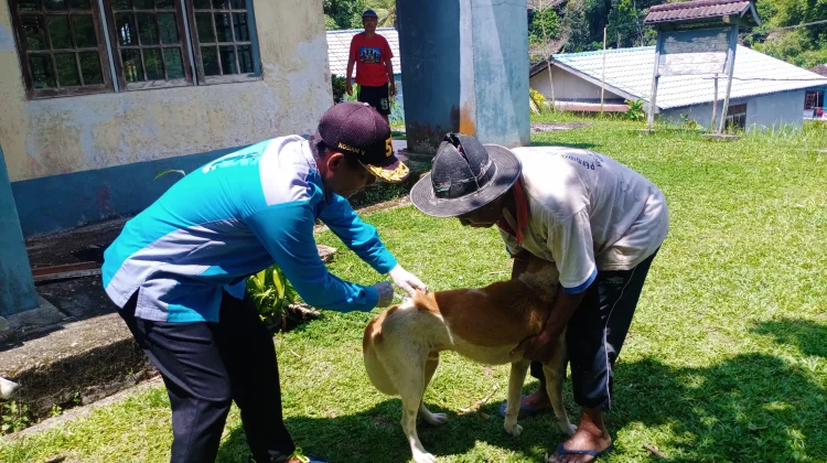 Target 500 Dosis, Vaksinasi Rabies Digenjot di Semanget