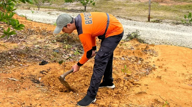 Penanaman Pohon Jadi Upaya Mitigasi Bencana di Sanggau