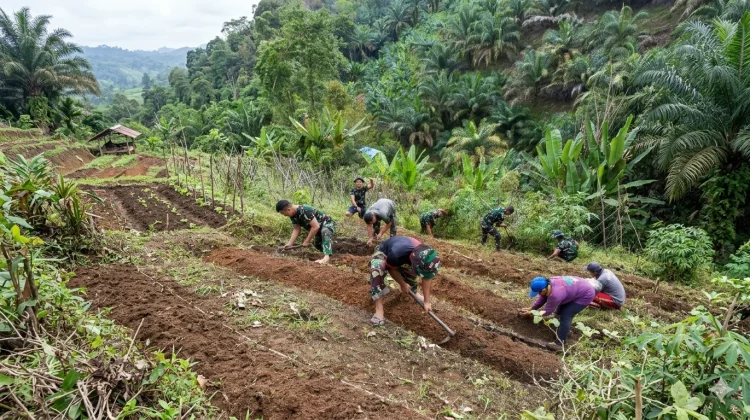 TMMD Ke-128 Kodim 1204/Sanggau Perkuat Ketahanan Pangan