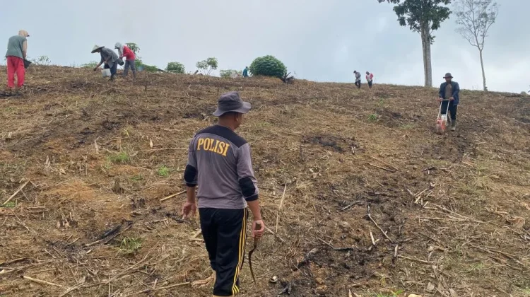 Polsek Beduai Kejar Target Tanam Jagung Ketahanan Pangan