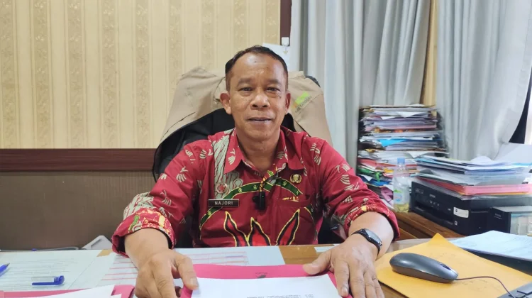 Dinkes Sanggau Waspadai Lonjakan Kasus Chikungunya