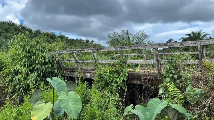 Jembatan Tanak Rusak, TMMD Sanggau Bangun Ulang