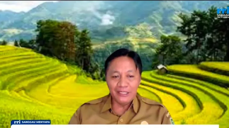 DKPTHP Sanggau Dorong Pekarangan Bergizi Kurangi Limbah Rumah Tangga