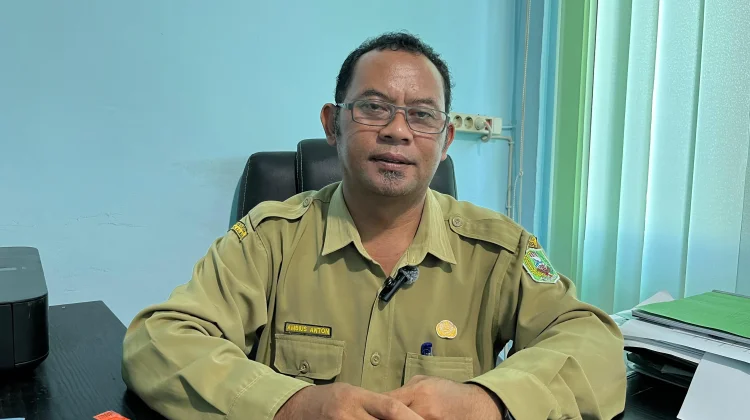 Stok Sapi Kurban Sanggau Dipastikan Mencukupi