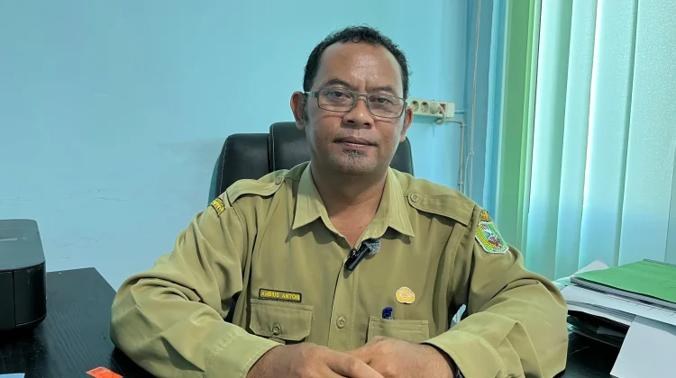 Stok Kambing Kurban di Sanggau Capai Ratusan Ekor