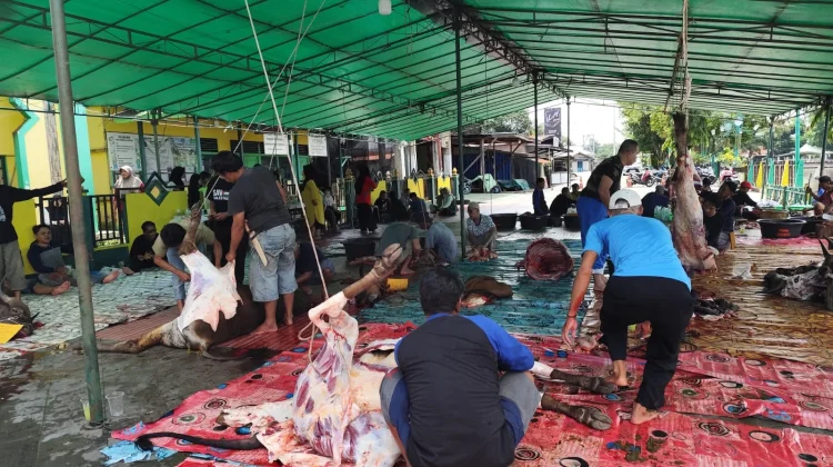 Disbunnak Sanggau Lakukan Post Mortem Hewan Kurban Iduladha 2026