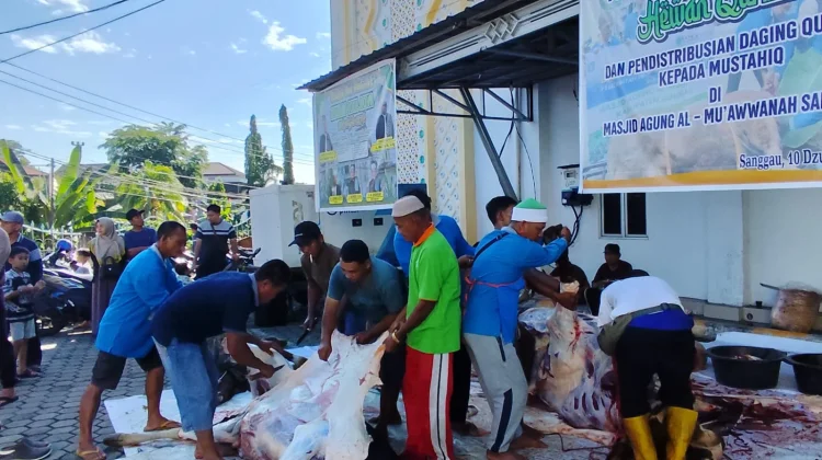 Masjid Agung Sanggau Sembelih 11 Hewan Kurban Iduladha