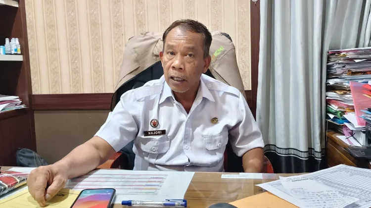 Dinkes Sanggau Catat Demam Infeksi Dengue Capai 40 Kasus