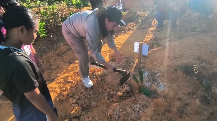 Wabup Susana Ajak Warga Sanggau Tanam Pohon