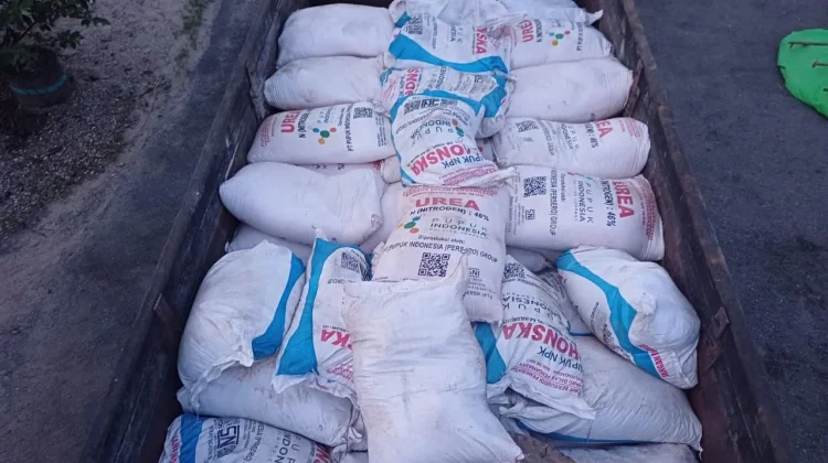Polsek Sekayam Ungkap Penyalahgunaan Ratusan Karung Pupuk Subsidi