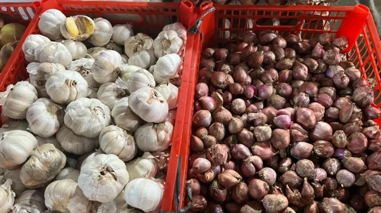 Harga Bawang Merah di Sanggau Naik